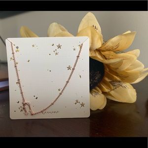Francesca’s Gemini Necklace
